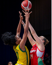 Sporting Goods - Basketball